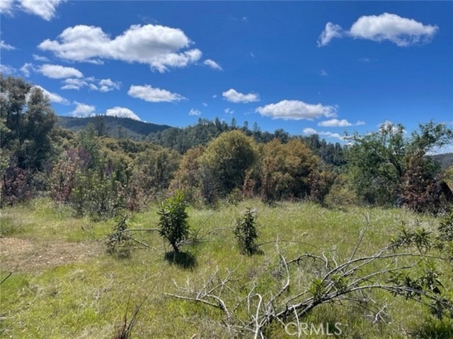 Detail Gallery Image 14 of 14 For 0 77.73 Ac Two Hills Rd, North Fork,  CA 93643 - – Beds | – Baths