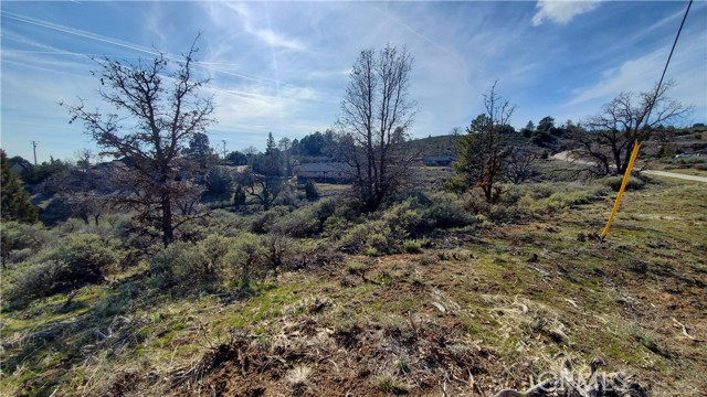 25041 Jacaranda Drive, Tehachapi, California 93561, ,Land,For Sale,25041 Jacaranda Drive,CRSR23210317