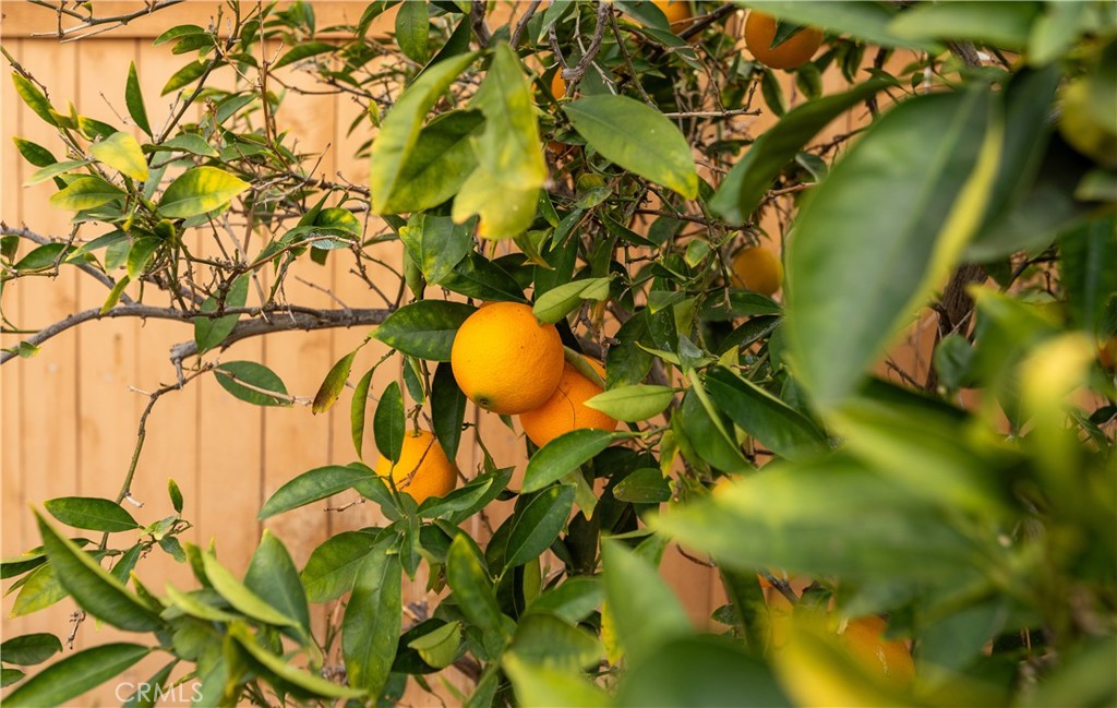 https://media.crmls.org/medias/79dad64a-963f-4bb0-b537-63d07acb0109.jpg?preset=X-Large