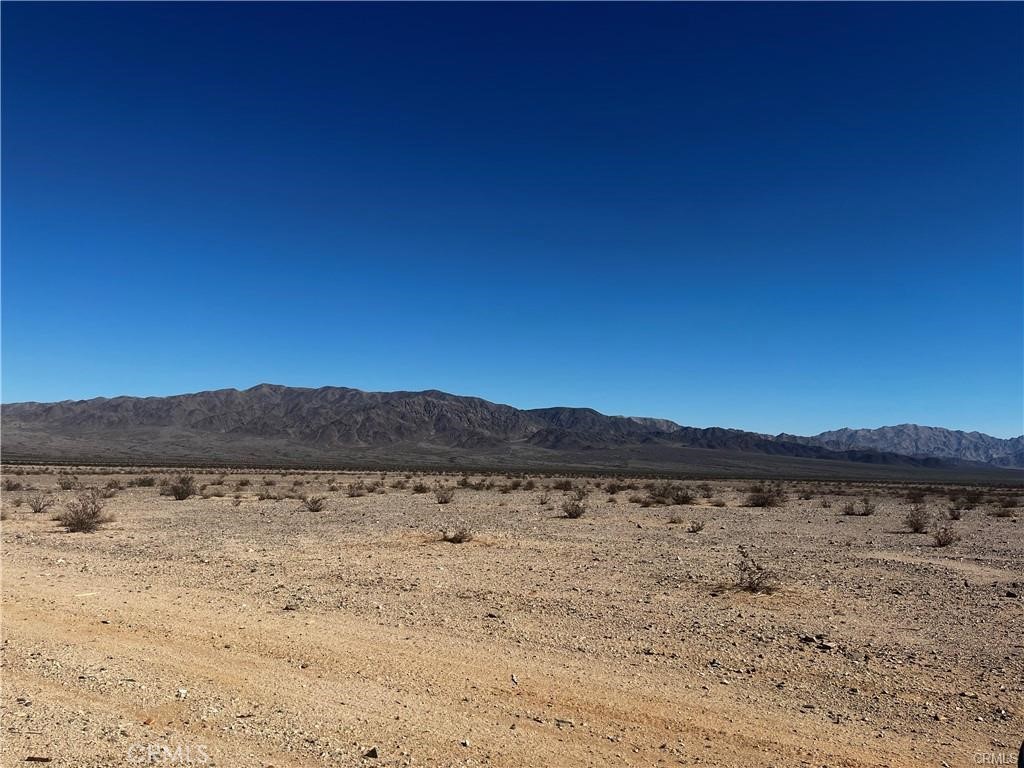 MLS #JT25008696 image #4