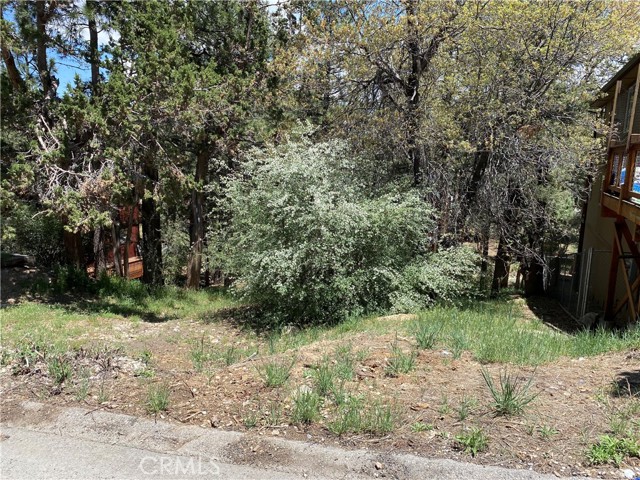 0 Imperial Avenue, Other - See Remarks, California 92386, ,Land,For Sale,0 Imperial Avenue,CRPW23095523