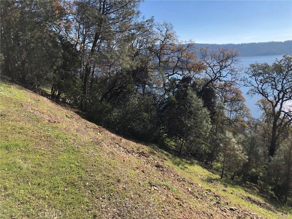 11705 Lakeview Drive, Clearlake Oaks, CA 95423