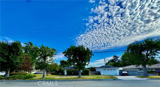 Detail Gallery Image 6 of 38 For 1795 N 1st Ave, Upland,  CA 91784 - – Beds | – Baths