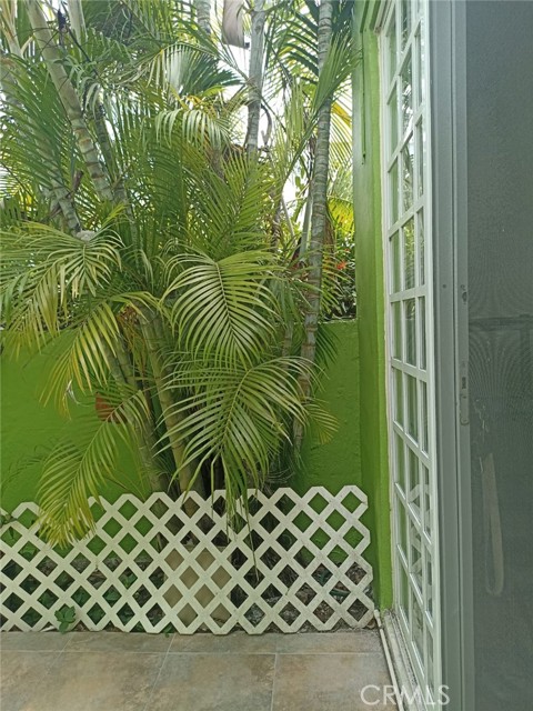 Detail Gallery Image 15 of 43 For 2 Calle Peru, –,  – 77714 - 1 Beds | 1 Baths