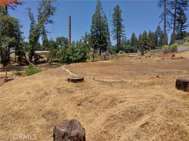 1667 Wagstaff Road, Paradise CA: https://media.crmls.org/medias/7a008a13-1c11-4c75-9f5e-105b8a942f00.jpg