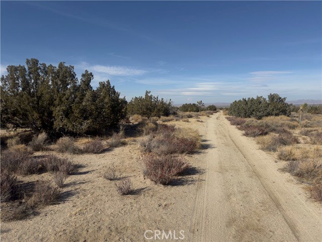 0 Avenue Y, Llano CA: https://media.crmls.org/medias/7a019c8b-f64d-4359-a0cb-3111f3b78545.jpg