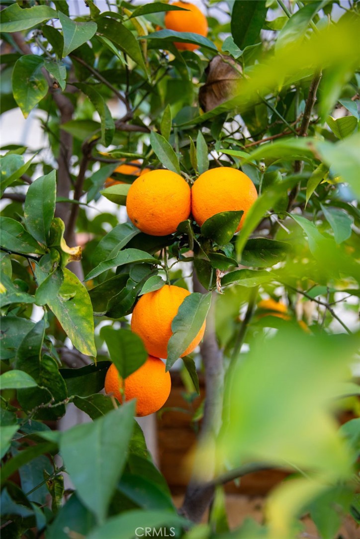 https://media.crmls.org/medias/7a026684-bd95-4c58-9179-2ce9679f25e9.jpg?preset=X-Large