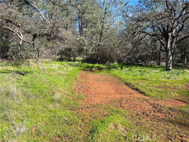 0 Highlands Boulevard, Oroville, California 95965, ,Land,For Sale,0 Highlands Boulevard,CRSN23181045