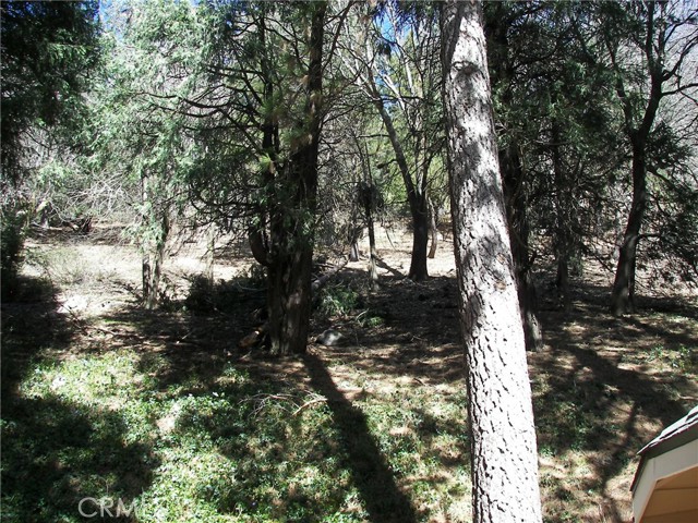 Detail Gallery Image 24 of 69 For 21636 Sawpit Canyon, Cedarpines Park,  CA 92322 - 3 Beds | 2 Baths