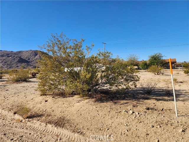 Detail Gallery Image 7 of 8 For 3 Lot Juniper Ave, Twentynine Palms,  CA 92277 - – Beds | – Baths