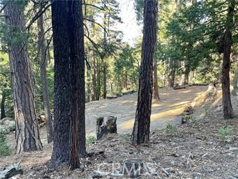 Image 2 for 0 Fernland Dr, Idyllwild, CA 92549