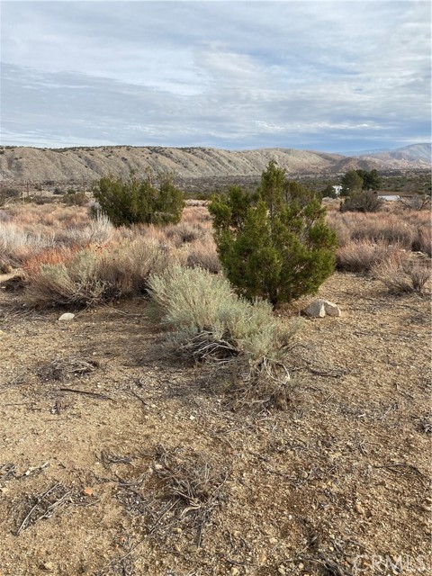 Detail Gallery Image 11 of 15 For 14 E Vac/Z14e Lepage Ranch Rd/Vic,, –,  CA 93543 - – Beds | – Baths