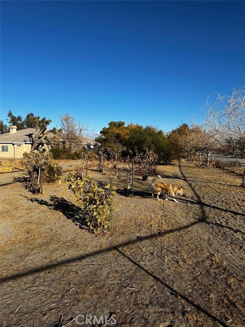 Detail Gallery Image 1 of 21 For 4778 Luna Rd, Phelan,  CA 92371 - 4 Beds | 2 Baths