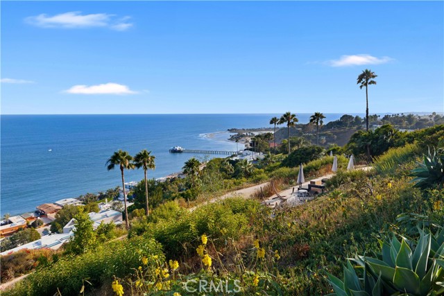 Detail Gallery Image 29 of 45 For 3662 Sweetwater Canyon Dr, Malibu,  CA 90265 - 3 Beds | 2 Baths