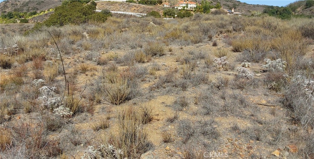 MLS #SW25229548 image #6