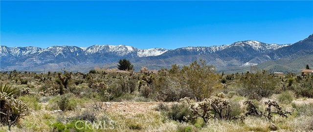 Detail Gallery Image 7 of 7 For 0 High Rd, Lucerne Valley,  CA 92356 - – Beds | – Baths