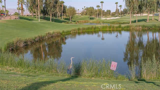 81535 Avenida De Baile, Indio CA: https://media.crmls.org/medias/7a2594cd-f3f4-422a-9760-a3b82a1e1444.jpg