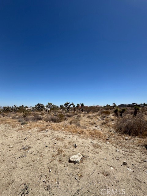 Detail Gallery Image 2 of 3 For 0 Arena Rd, Pinon Hills,  CA 92372 - – Beds | – Baths