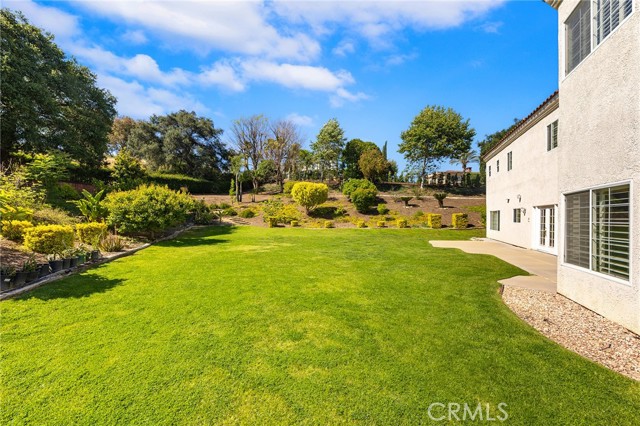 Detail Gallery Image 49 of 56 For 1036 Alpine Ct, Chino Hills,  CA 91709 - 4 Beds | 3/1 Baths