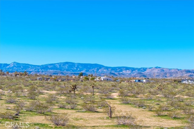 Detail Gallery Image 72 of 75 For 670 Ducor Ave, Landers,  CA 92285 - 4 Beds | 2 Baths