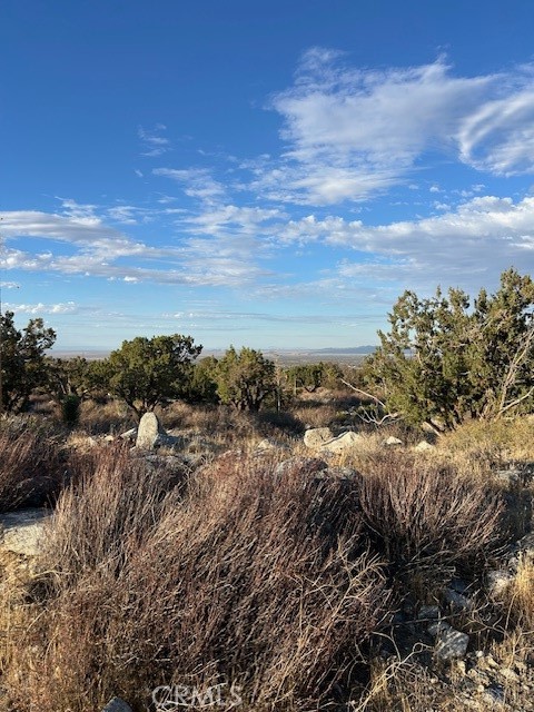 Detail Gallery Image 3 of 6 For 0 Yucca, Pinon Hills,  CA 92372 - – Beds | – Baths