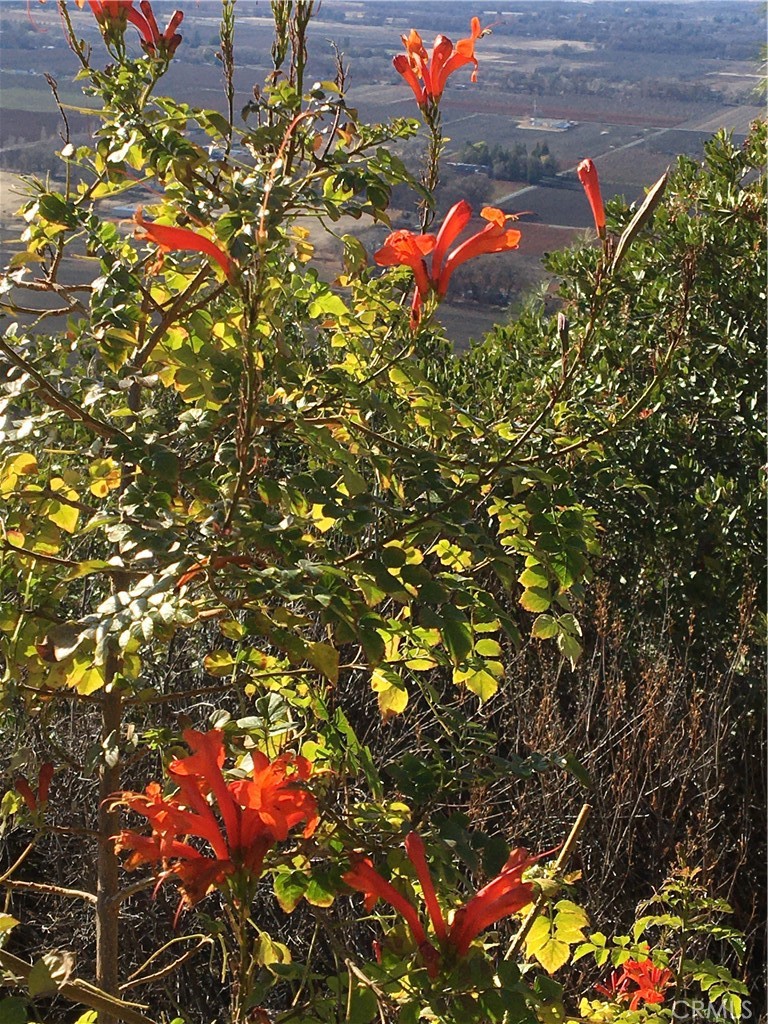 https://media.crmls.org/medias/7a3cb569-3136-4354-85eb-f385d03b597f.jpg?preset=X-Large