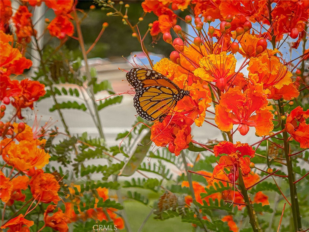 https://media.crmls.org/medias/7a3e0b25-f077-40d9-b1bd-94ec42a4a548.jpg?preset=X-Large
