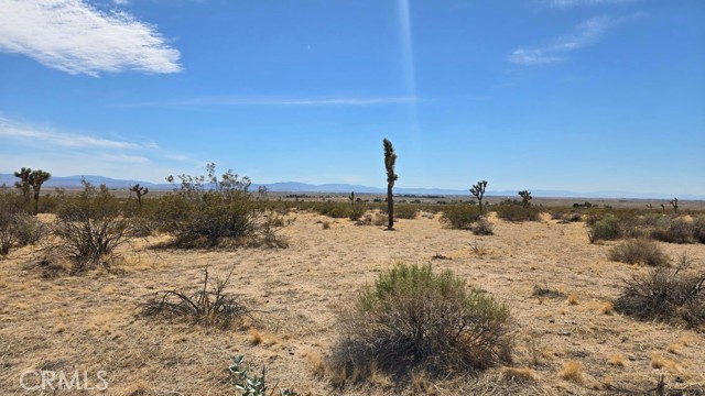 Image 1 of 21 For 0 147th St E Vicinity Capleton D