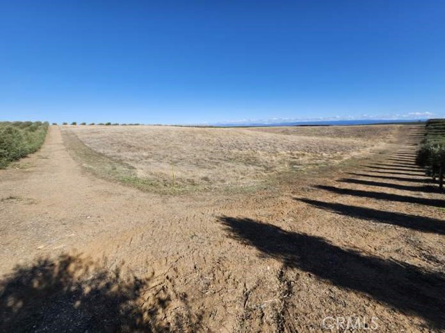 Detail Gallery Image 19 of 22 For 0 087-250-008-000, Corning,  CA 96021 - – Beds | – Baths