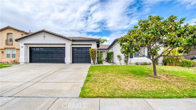 Front Image Thumbnail for CRNP26071354