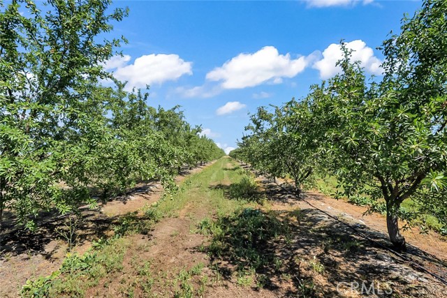 Detail Gallery Image 3 of 20 For 0 Buchanan Hollow Rd, Le Grand,  CA 95333 - – Beds | – Baths