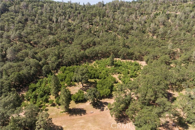 Detail Gallery Image 54 of 61 For 13449 Anderson Rd, Lower Lake,  CA 95457 - 4 Beds | 3 Baths