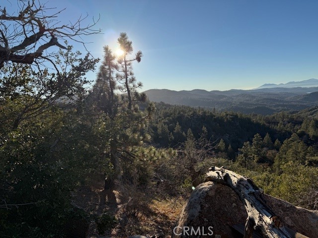 Detail Gallery Image 6 of 17 For 340 Bobcat Rd, Green Valley Lake,  CA 92314 - 1 Beds | 1 Baths