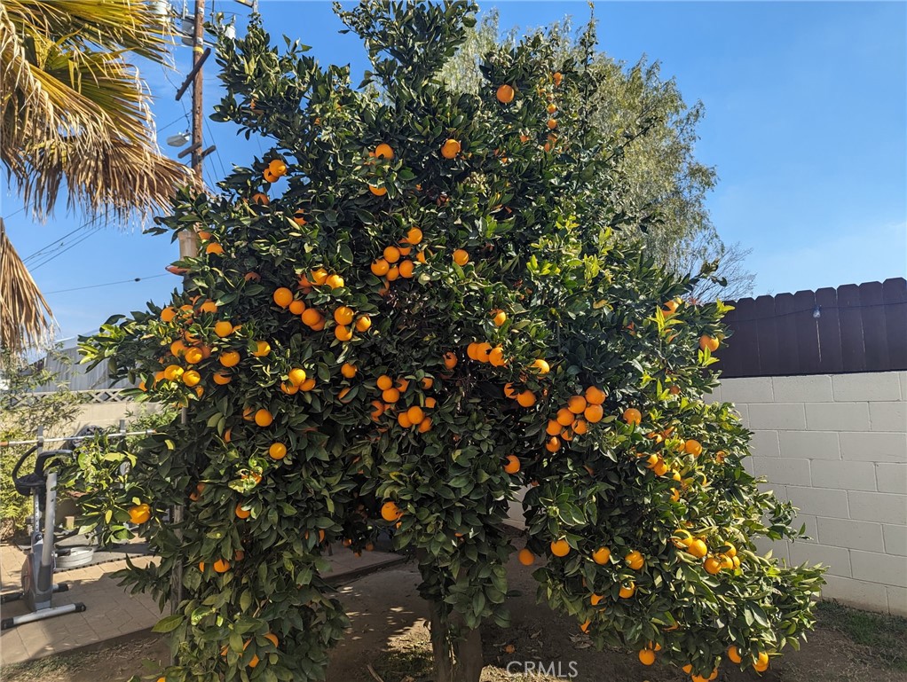 https://media.crmls.org/medias/7a52c093-7ddd-436f-bf27-ad1fc8aa03bd.jpg?preset=X-Large