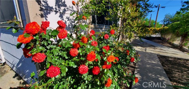 13125 Bly Avenue, Paskenta CA: https://media.crmls.org/medias/7a52cc65-a94d-477c-957a-95c7a2870318.jpg