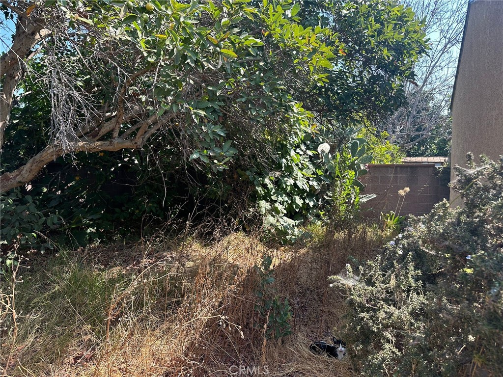 https://media.crmls.org/medias/7a54054e-0031-4434-b01b-51a964beb3cc.jpg?preset=X-Large