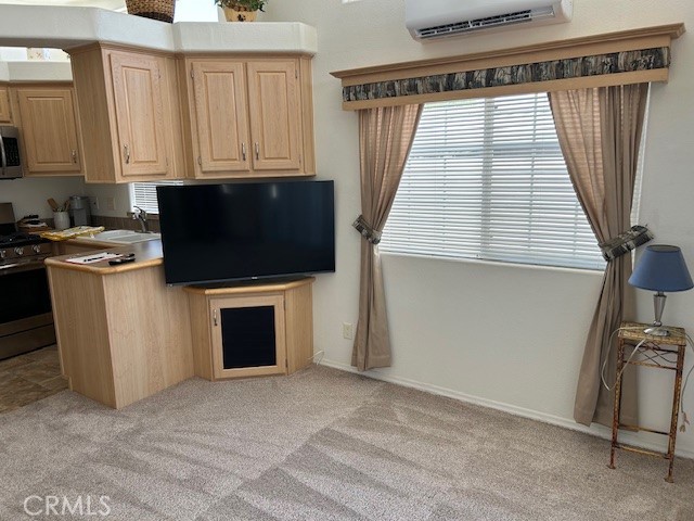 Detail Gallery Image 6 of 22 For 1295 S Cawston Ave #498,  Hemet,  CA 92545 - 1 Beds | 1 Baths