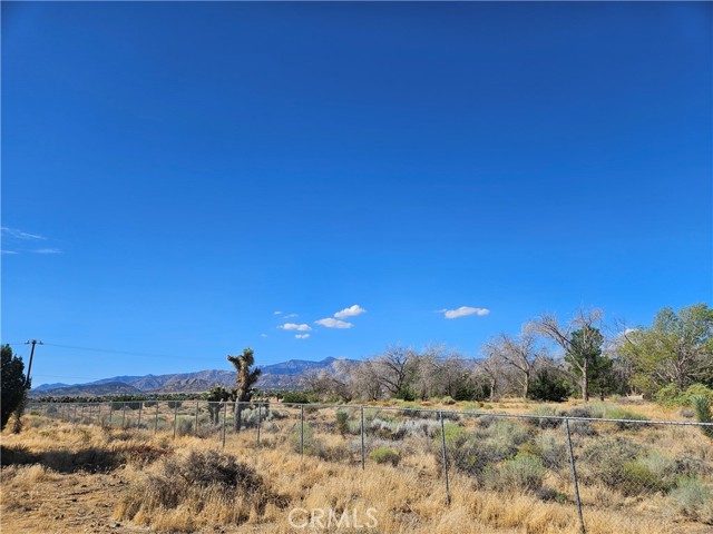  Land for Sale in Phelan, California