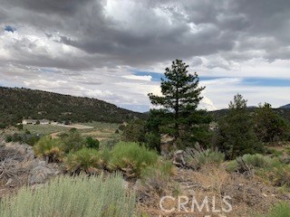 0 Ponderosa, Big Bear City, California 92314, ,Land,For Sale,0 Ponderosa,CROC20150732