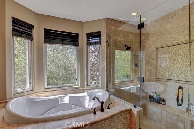 Master Tub/Shower