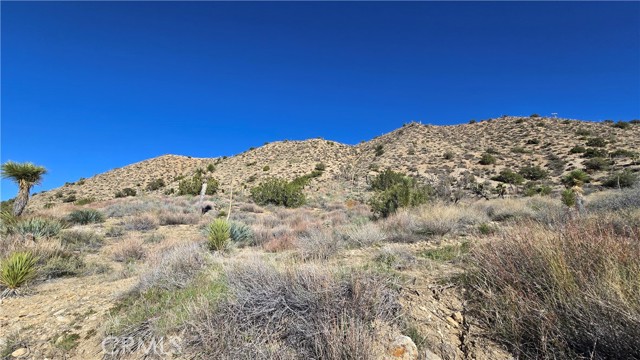 Detail Gallery Image 5 of 31 For 0 Pinon Road to Mescal Highlands, Llano,  CA 93544 - – Beds | – Baths