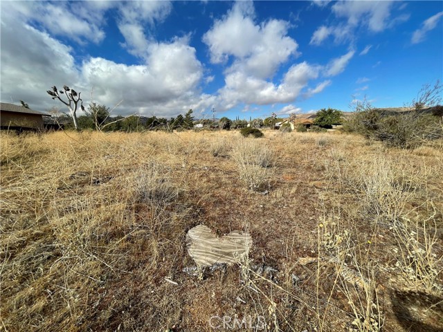 Detail Gallery Image 4 of 12 For 0 Minna Gombell Road, Pioneertown,  CA 92268 - – Beds | – Baths