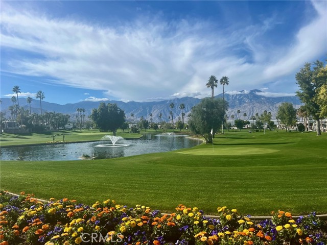 Detail Gallery Image 14 of 23 For 69411 Ramon #360,  Cathedral City,  CA 92262 - 1 Beds | 1 Baths