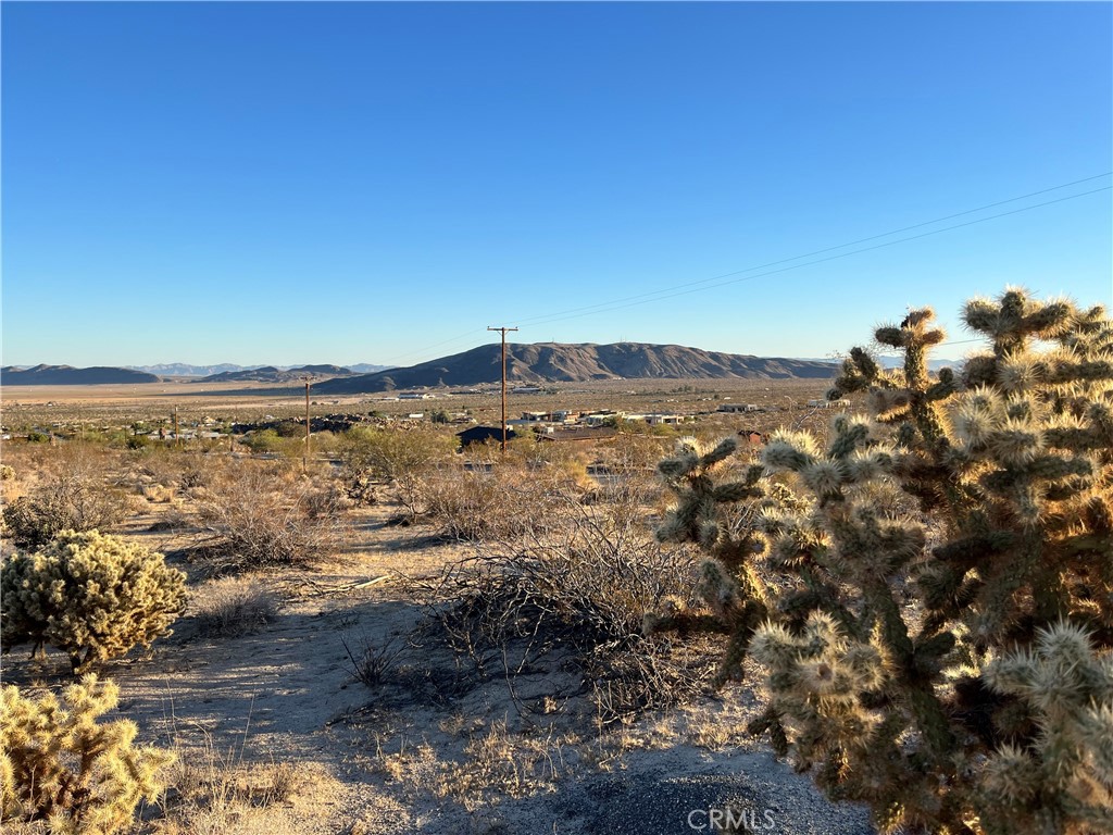 MLS #JT25250463 image #21