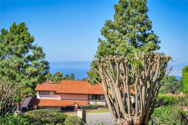 1808 Via Coronel, Palos Verdes Estates CA: https://media.crmls.org/medias/7a6d10e1-f7b5-4916-9319-f6c485716c24.jpg