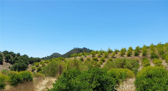 5 De Anza Road, Temecula CA: https://media.crmls.org/medias/7a70a51d-ca5c-4a24-bfa9-01174cf4cf19.jpg