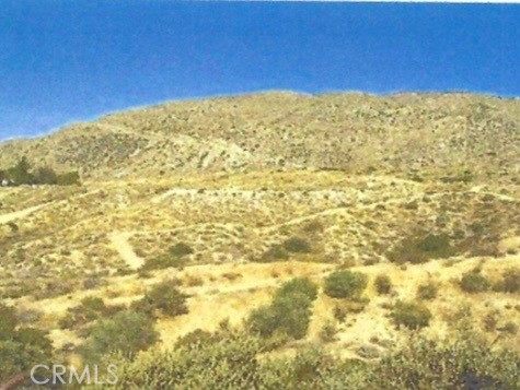 Front Image Thumbnail for CRSW25263739