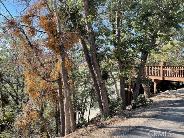 Detail Gallery Image 3 of 7 For 23 Music Camp Rd, Arrowbear,  CA 92382 - – Beds | – Baths