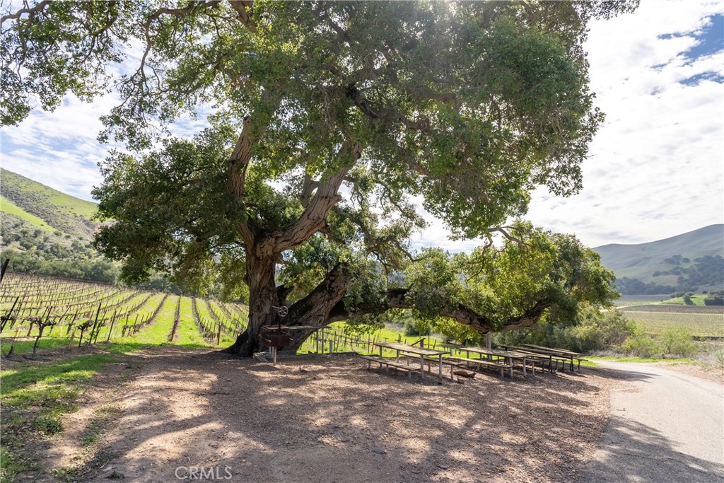 MLS #NS25230187 image #16