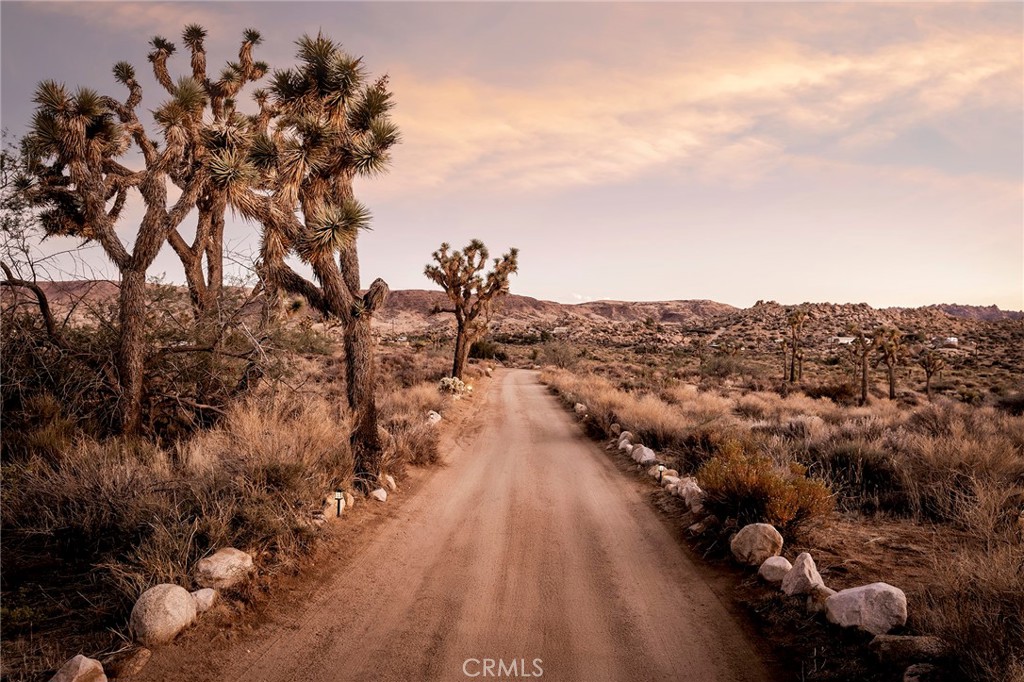 MLS #JT25252986 image #55